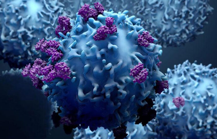 Immunotherapy as a possible cure for cancer