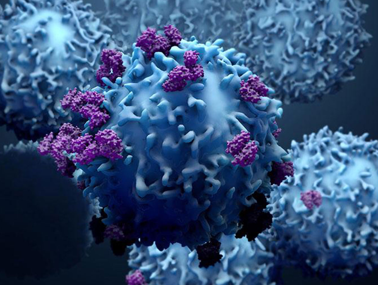 Immunotherapy as a possible cure for cancer